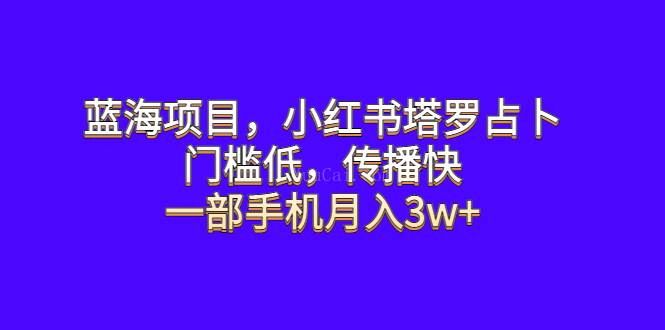 蓝海项目,小红书塔罗占卜,门槛低,传播快,一部手机月入3w+-续财库